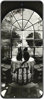 TPU чехол Череп и коты для Huawei Honor 200 - 6432b-3731 изображение 