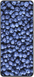 TPU чехол Черника для Huawei Honor 200 - 851b-3731 изображение 