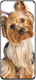 TPU чехол Йоркширский терьер с хвостиком для Huawei Honor 200 - 930b-3731 изображение 