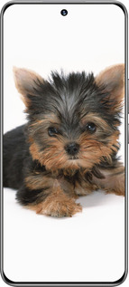 TPU чехол Щенок йоркширского терьера для Huawei Honor 200 - 931b-3731 изображение 