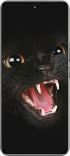 TPU чехол Чёрная кошка для Huawei Honor 200 - 932b-3731 изображение 