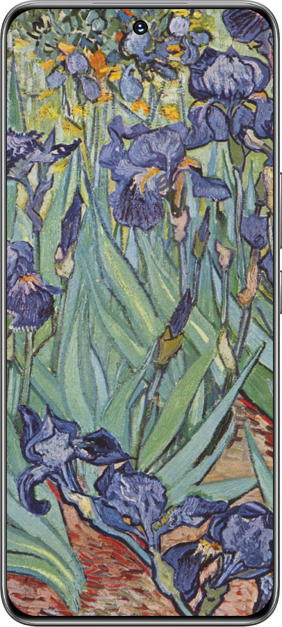 TPU чехол Винсент Ван Гог. Ирисы для Huawei Honor 200 - 161b-3731 изображение 