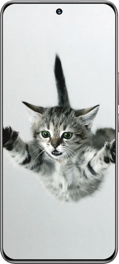 TPU чехол Літаюче кошеня для Huawei Honor 200 - 2322b-3731 изображение 