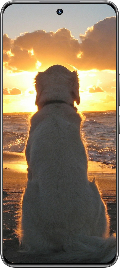 TPU чехол Закат и собака для Huawei Honor 200 - 3966b-3731 изображение 