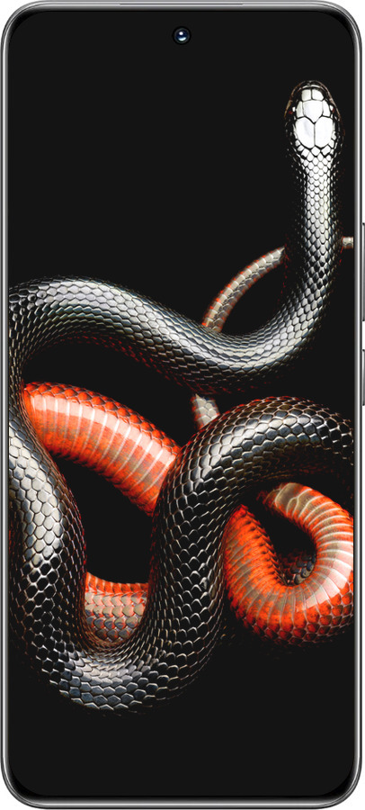 TPU чехол Червоно-чорна змія на чорному фоні для Huawei Honor 200 - 4063b-3731 изображение 