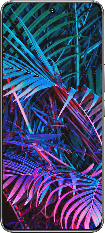 TPU чехол Папоротник под ультрафиолетом для Huawei Honor 200 - 4069b-3731 изображение 