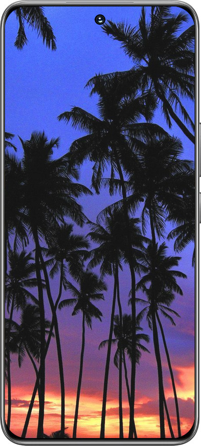 TPU чехол Пальмы для Huawei Honor 200 - 4324b-3731 изображение 
