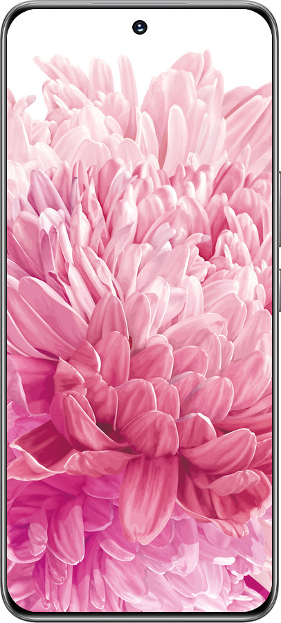 TPU чехол Хризантема для Huawei Honor 200 - 4666b-3731 изображение 