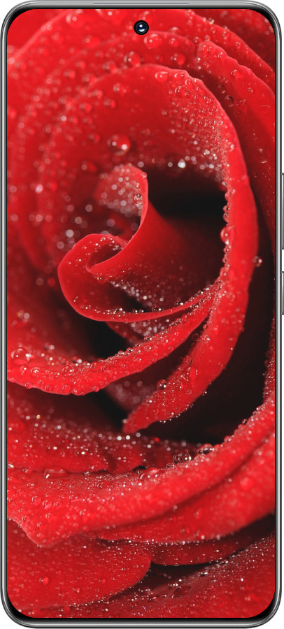 TPU чехол Червона троянда для Huawei Honor 200 - 529b-3731 изображение 