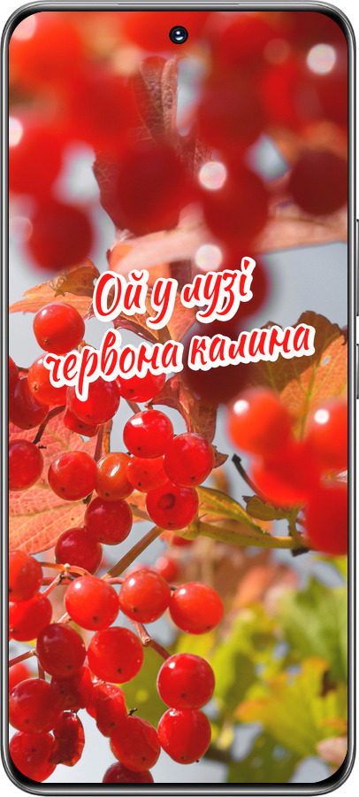 TPU чехол Калина для Huawei Honor 200 - 5454b-3731 изображение 