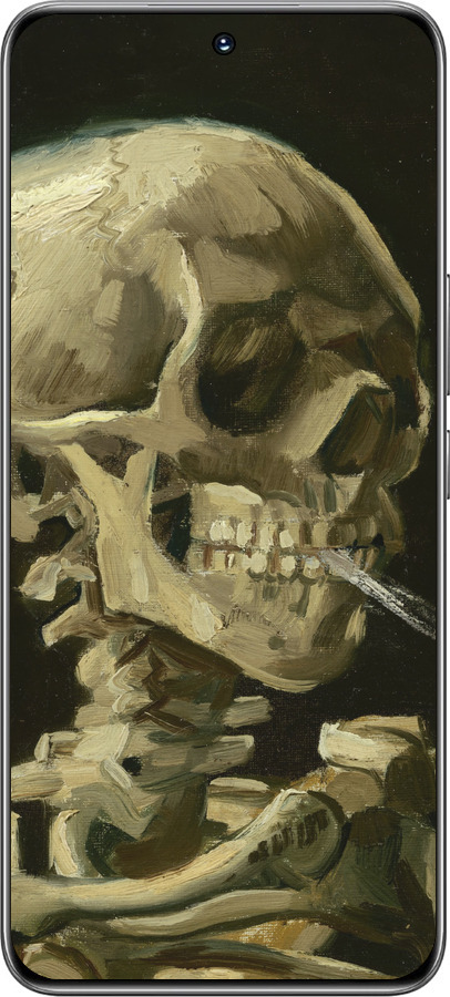 TPU чехол Вінсент Ван Гог. Череп для Huawei Honor 200 - 5544b-3731 изображение 