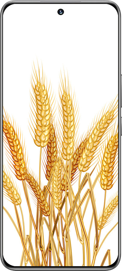 TPU чехол Колоски пшеници для Huawei Honor 200 - 5866b-3731 изображение 