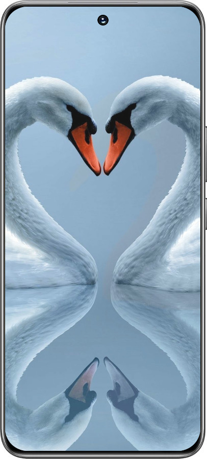 TPU чехол Лебеди для Huawei Honor 200 - 6007b-3731 изображение 