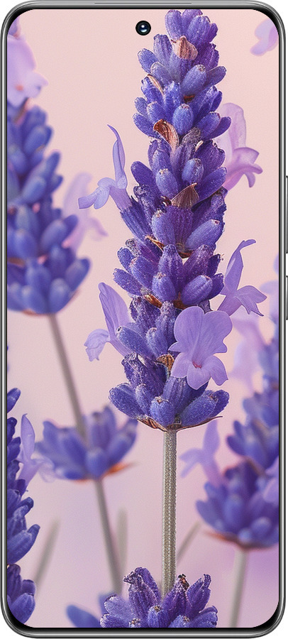 TPU чехол Лаванда для Huawei Honor 200 - 6037b-3731 изображение 