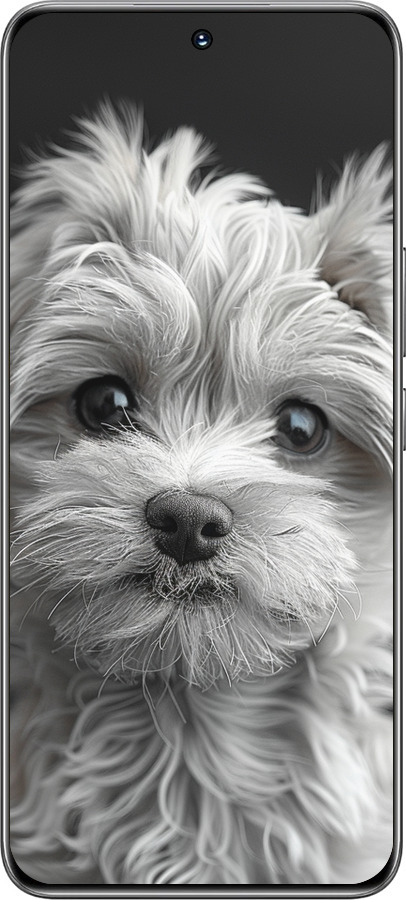 TPU чехол Мальтипу на чорном фоне для Huawei Honor 200 - 6156b-3731 изображение 