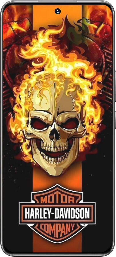 TPU чехол Харлей девидсон для Huawei Honor 200 - 6370b-3731 изображение 