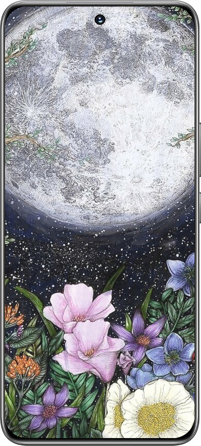 TPU чехол Полночь в саду II для Huawei Honor 200 - 6424b-3731 изображение 