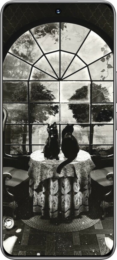 TPU чехол Череп и коты для Huawei Honor 200 - 6432b-3731 изображение 