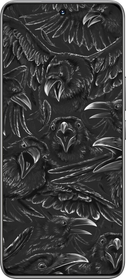 TPU чехол Воронья ярость для Huawei Honor 200 - 6474b-3731 изображение 