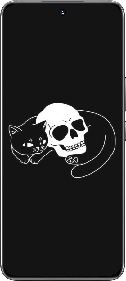 TPU чехол С изображением кота и черепа для Huawei Honor 200 - 6491b-3731 изображение 