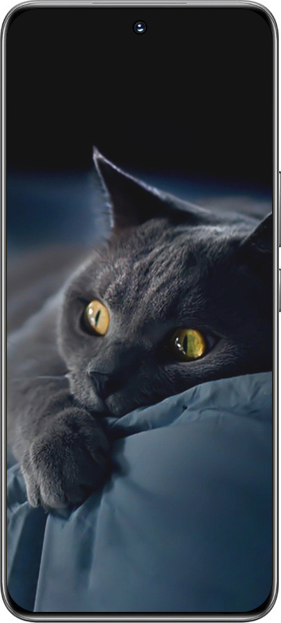 TPU чехол Дымчатый кот для Huawei Honor 200 - 825b-3731 изображение 