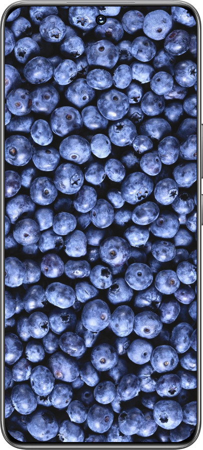 TPU чехол Черника для Huawei Honor 200 - 851b-3731 изображение 