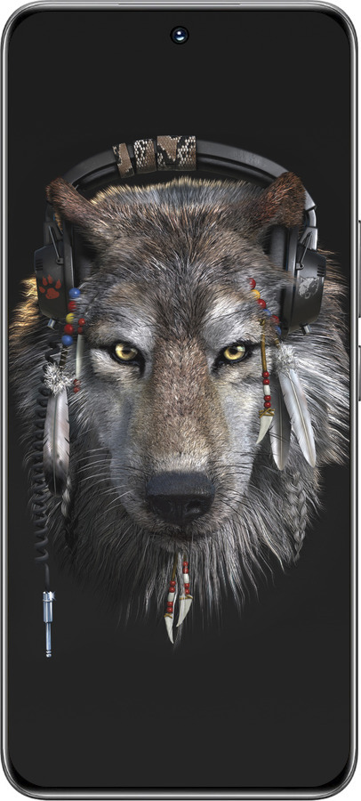 TPU чехол Волк-меломан для Huawei Honor 200 - 875b-3731 изображение 