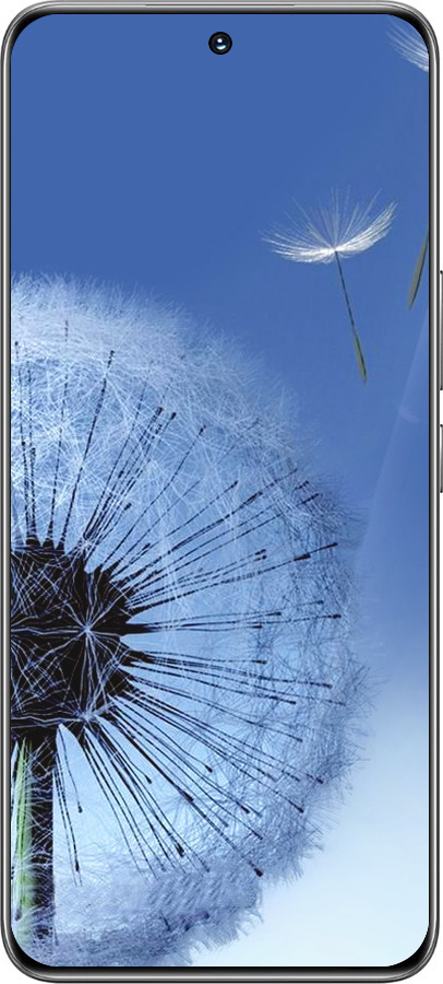 Силиконовый чехол Одуванчик для Huawei Honor 200 - 6005u-3731 изображение 
