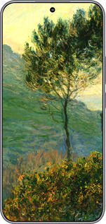 Силиконовый чехол Клод Моне для Huawei Honor 400 5G - 1193u-4017 изображение 