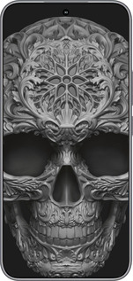 Силиконовый чехол skull-ornament для Huawei Honor 400 5G - 4101u-4017 изображение 