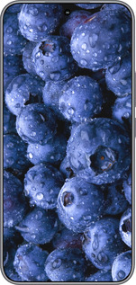 Силиконовый чехол Голубика для Huawei Honor 400 5G - 4459u-4017 изображение 