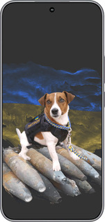 Силиконовый чехол Патрон для Huawei Honor 400 5G - 5320u-4017 изображение 