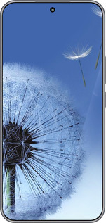 Силиконовый чехол Одуванчик для Huawei Honor 400 5G - 6005u-4017 изображение 