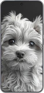 Силиконовый чехол Мальтипу на чорном фоне для Huawei Honor 400 5G - 6156u-4017 изображение 