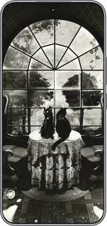 Силиконовый чехол Череп и коты для Huawei Honor 400 5G - 6432u-4017 изображение 