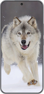 Силиконовый чехол Бегущий волк для Huawei Honor 400 5G - 826u-4017 изображение 