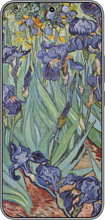 Силиконовый чехол Винсент Ван Гог. Ирисы для Huawei Honor 400 5G - 161u-4017 изображение 