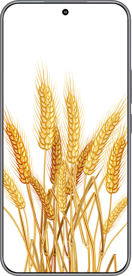 Силиконовый чехол Колоски пшеници для Huawei Honor 400 5G - 5866u-4017 изображение 