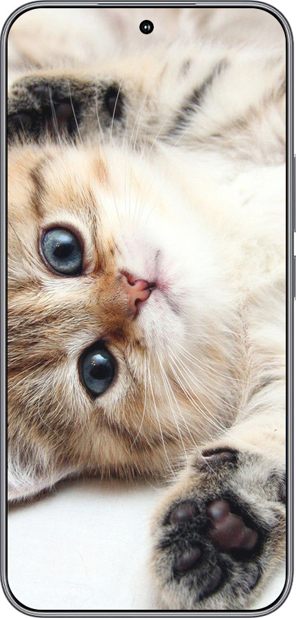 Силиконовый чехол Котик для Huawei Honor 400 5G - 6024u-4017 изображение 