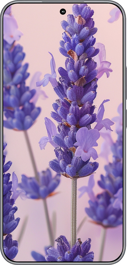 Силіконовий чехол Лаванда для Huawei Honor 400 5G - 6037u-4017 изображение 