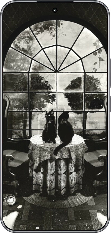 Силиконовый чехол Череп и коты для Huawei Honor 400 5G - 6432u-4017 изображение 