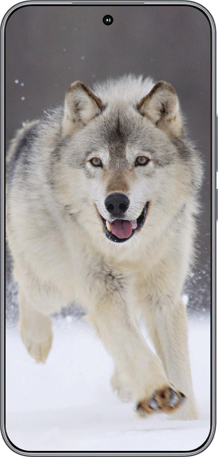 Силиконовый чехол Бегущий волк для Huawei Honor 400 5G - 826u-4017 изображение 