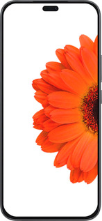 Силиконовый чехол Гербера 1 для Huawei Honor 400 Lite 5G - 4534u-3993 изображение 