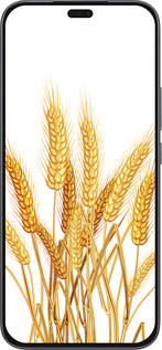 Силиконовый чехол Колоски пшеници для Huawei Honor 400 Lite 5G - 5866u-3993 изображение 