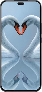 Силиконовый чехол Лебеди для Huawei Honor 400 Lite 5G - 6007u-3993 изображение 