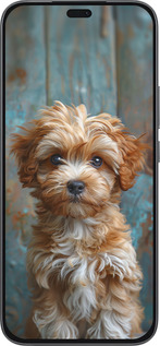 Силиконовый чехол Щенок мальтипу для Huawei Honor 400 Lite 5G - 6157u-3993 изображение 