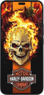 Силиконовый чехол Харлей девидсон для Huawei Honor 400 Lite 5G - 6370u-3993 изображение 