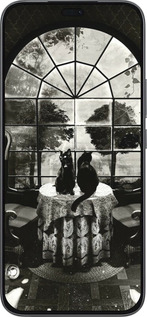 Силиконовый чехол Череп и коты для Huawei Honor 400 Lite 5G - 6432u-3993 изображение 