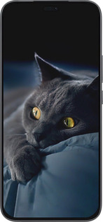 Силиконовый чехол Дымчатый кот для Huawei Honor 400 Lite 5G - 825u-3993 изображение 