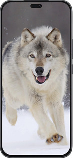 Силіконовий чехол Вовк, що біжить для Huawei Honor 400 Lite 5G - 826u-3993 изображение 